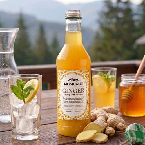 Ingwer & Honig Sirup 500ml